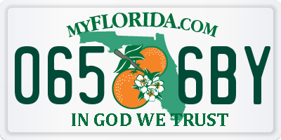 FL license plate 0656BY