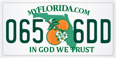 FL license plate 0656DD