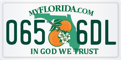FL license plate 0656DL