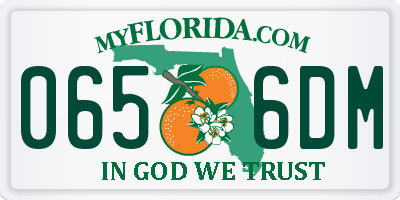 FL license plate 0656DM