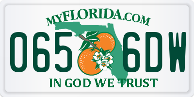 FL license plate 0656DW