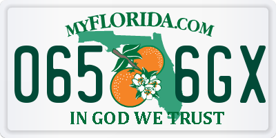 FL license plate 0656GX