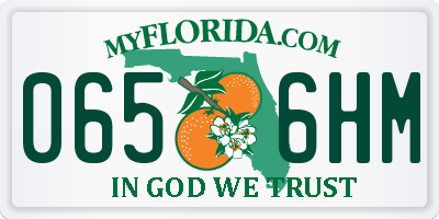 FL license plate 0656HM