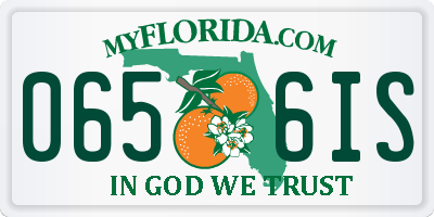 FL license plate 0656IS
