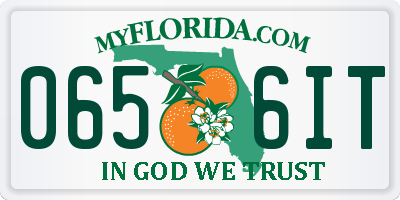 FL license plate 0656IT