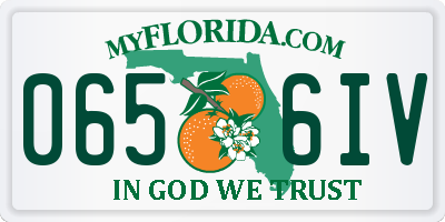 FL license plate 0656IV