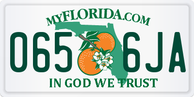 FL license plate 0656JA