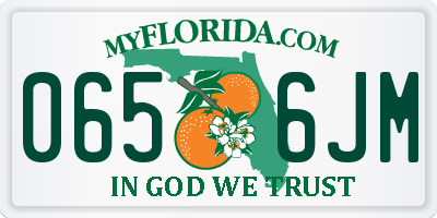 FL license plate 0656JM