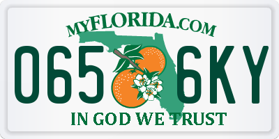 FL license plate 0656KY