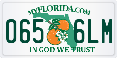 FL license plate 0656LM