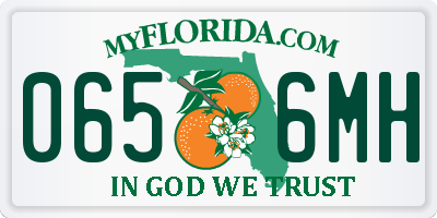 FL license plate 0656MH