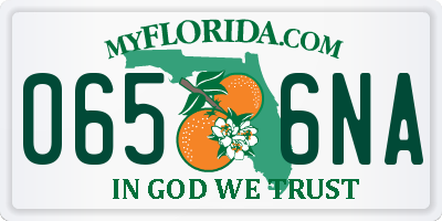 FL license plate 0656NA
