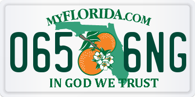 FL license plate 0656NG