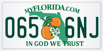 FL license plate 0656NJ