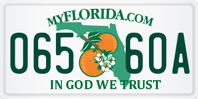 FL license plate 0656OA