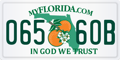 FL license plate 0656OB