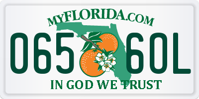 FL license plate 0656OL