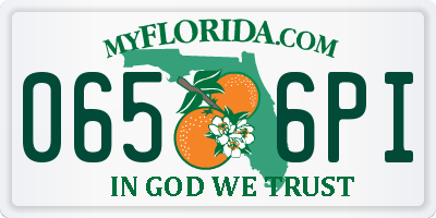 FL license plate 0656PI