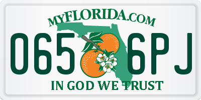 FL license plate 0656PJ