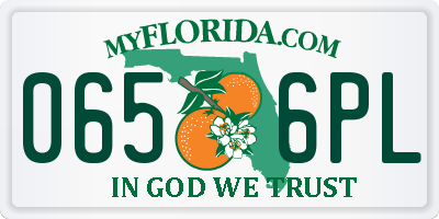 FL license plate 0656PL