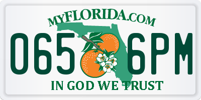 FL license plate 0656PM