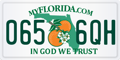 FL license plate 0656QH