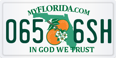 FL license plate 0656SH