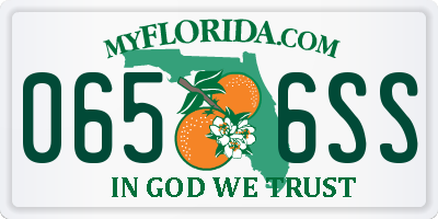 FL license plate 0656SS