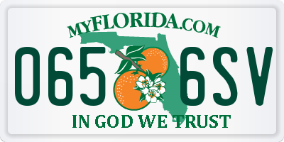 FL license plate 0656SV