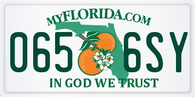FL license plate 0656SY