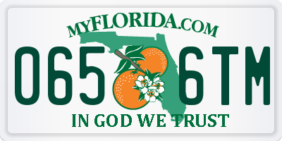 FL license plate 0656TM