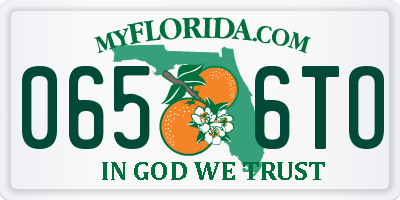 FL license plate 0656TO