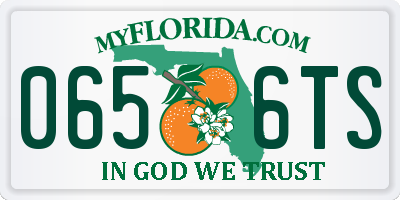 FL license plate 0656TS