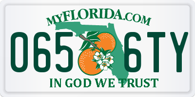 FL license plate 0656TY