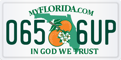 FL license plate 0656UP
