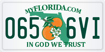 FL license plate 0656VI