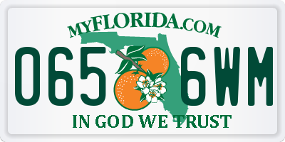 FL license plate 0656WM