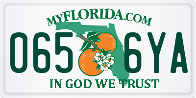 FL license plate 0656YA