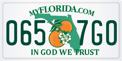 FL license plate 0657GO