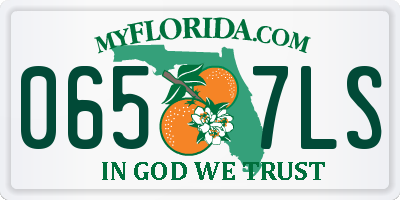 FL license plate 0657LS