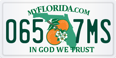 FL license plate 0657MS