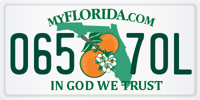 FL license plate 0657OL