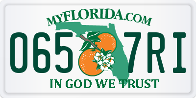 FL license plate 0657RI
