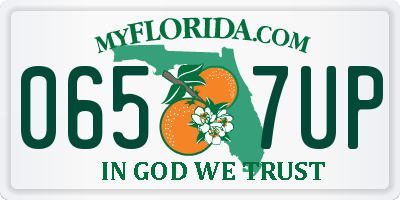 FL license plate 0657UP