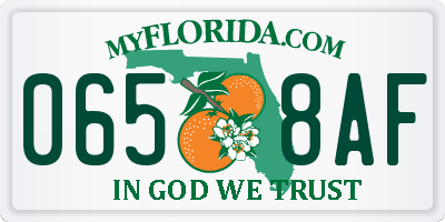 FL license plate 0658AF