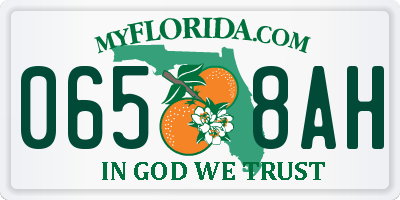 FL license plate 0658AH