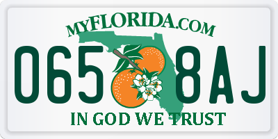 FL license plate 0658AJ