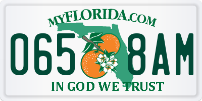 FL license plate 0658AM