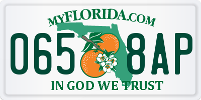 FL license plate 0658AP