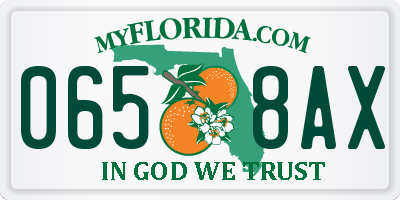 FL license plate 0658AX